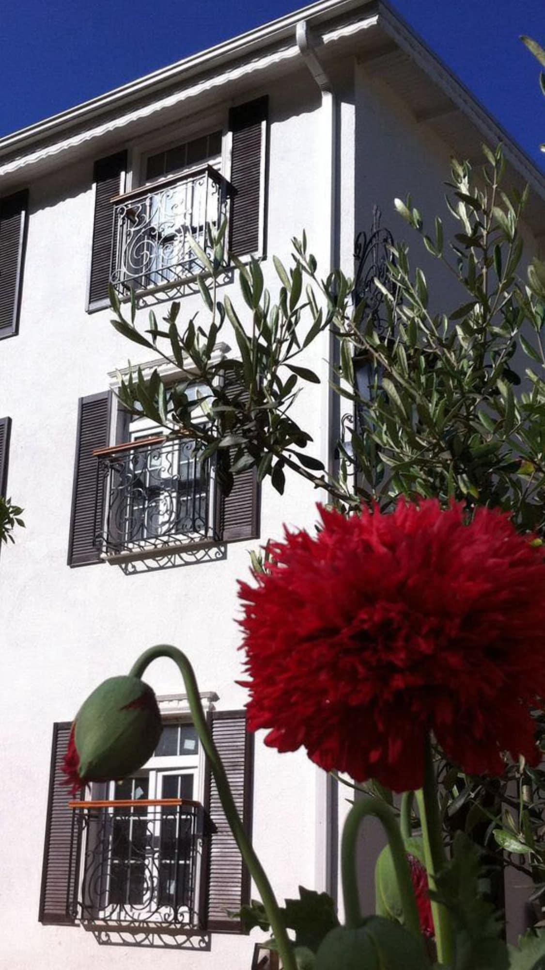 Agva Riverangel (Adults Only) Exterior photo