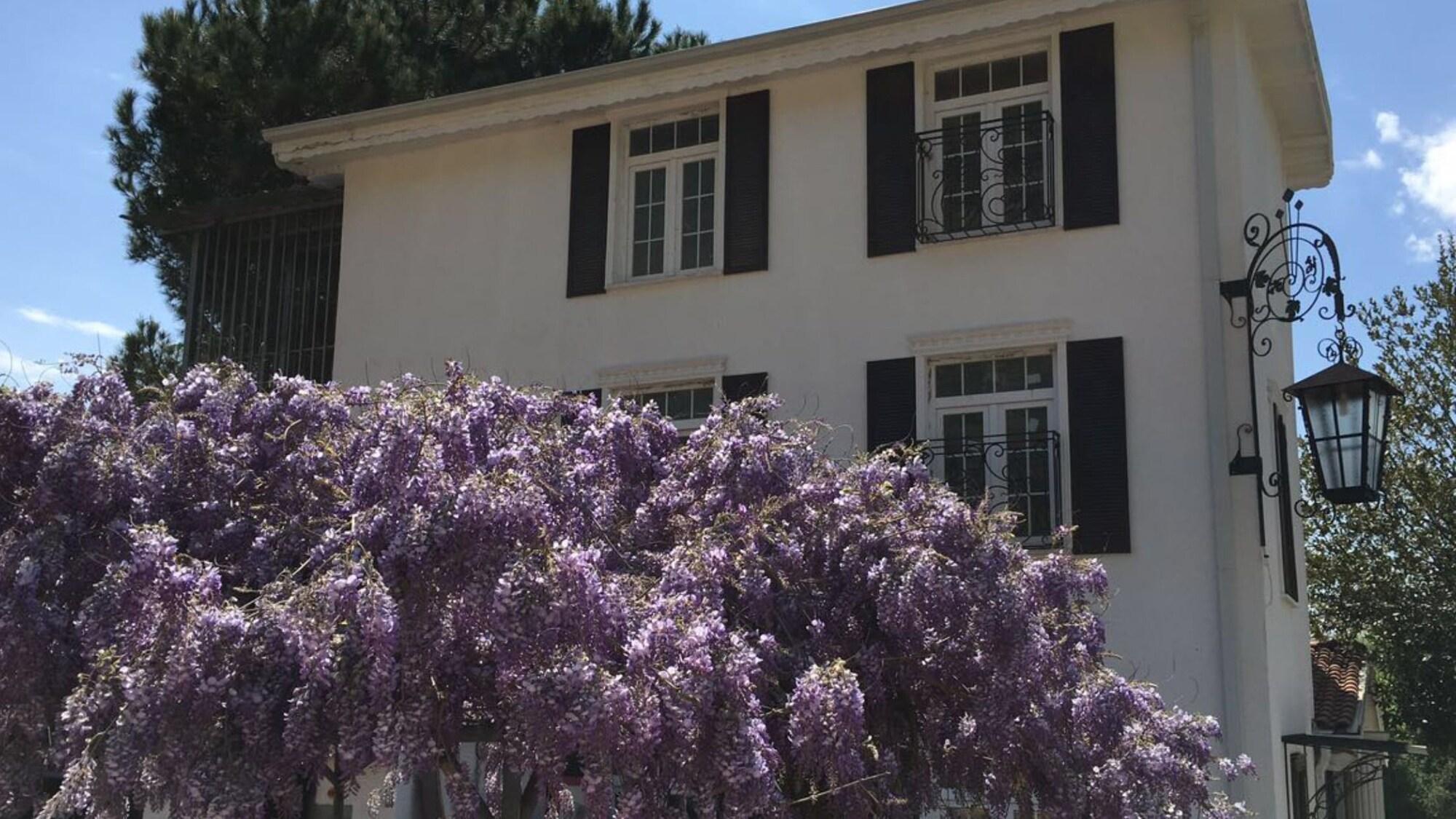 Agva Riverangel (Adults Only) Exterior photo